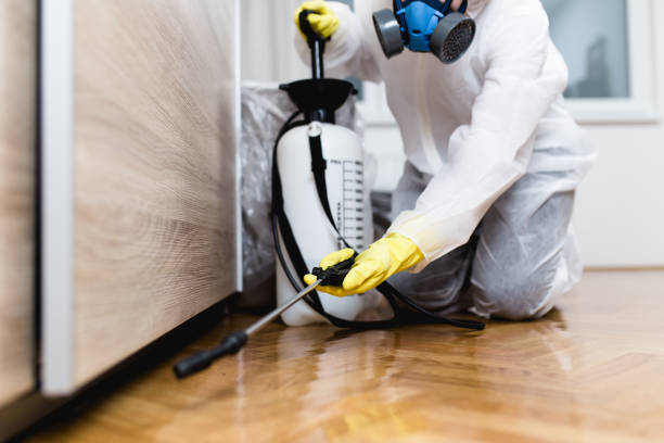 Best Pest Removal Services  in Honey Grove, TX