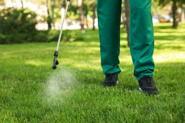Pest Control for Restaurants in Honey Grove, TX