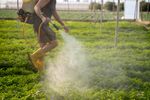 Reliable Honey Grove, TX Pest Control Solutions