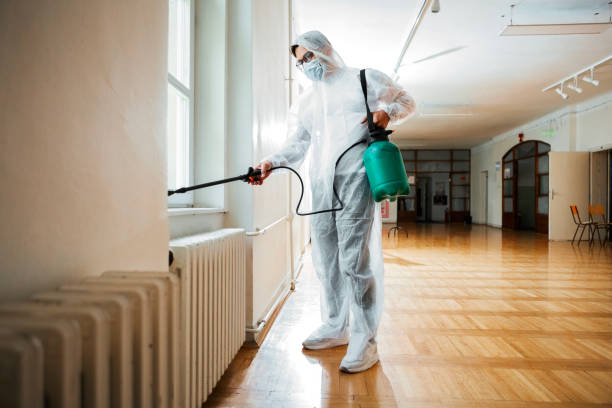 Wasp Removal Services in Honey Grove, TX