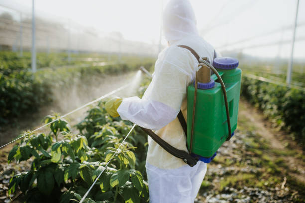 Best Pest Control Near Me  in Honey Grove, TX